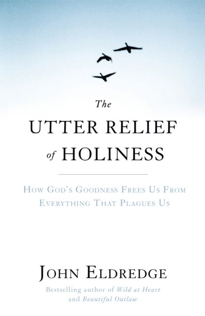 The Utter Relief of Holiness : How God's Goodness Frees Us From Everything That Plagues Us