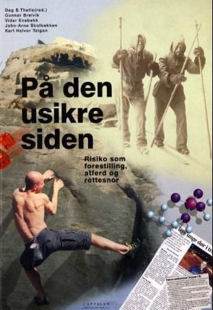 På den usikre siden : risiko som forestilling, atferd og rettesnor