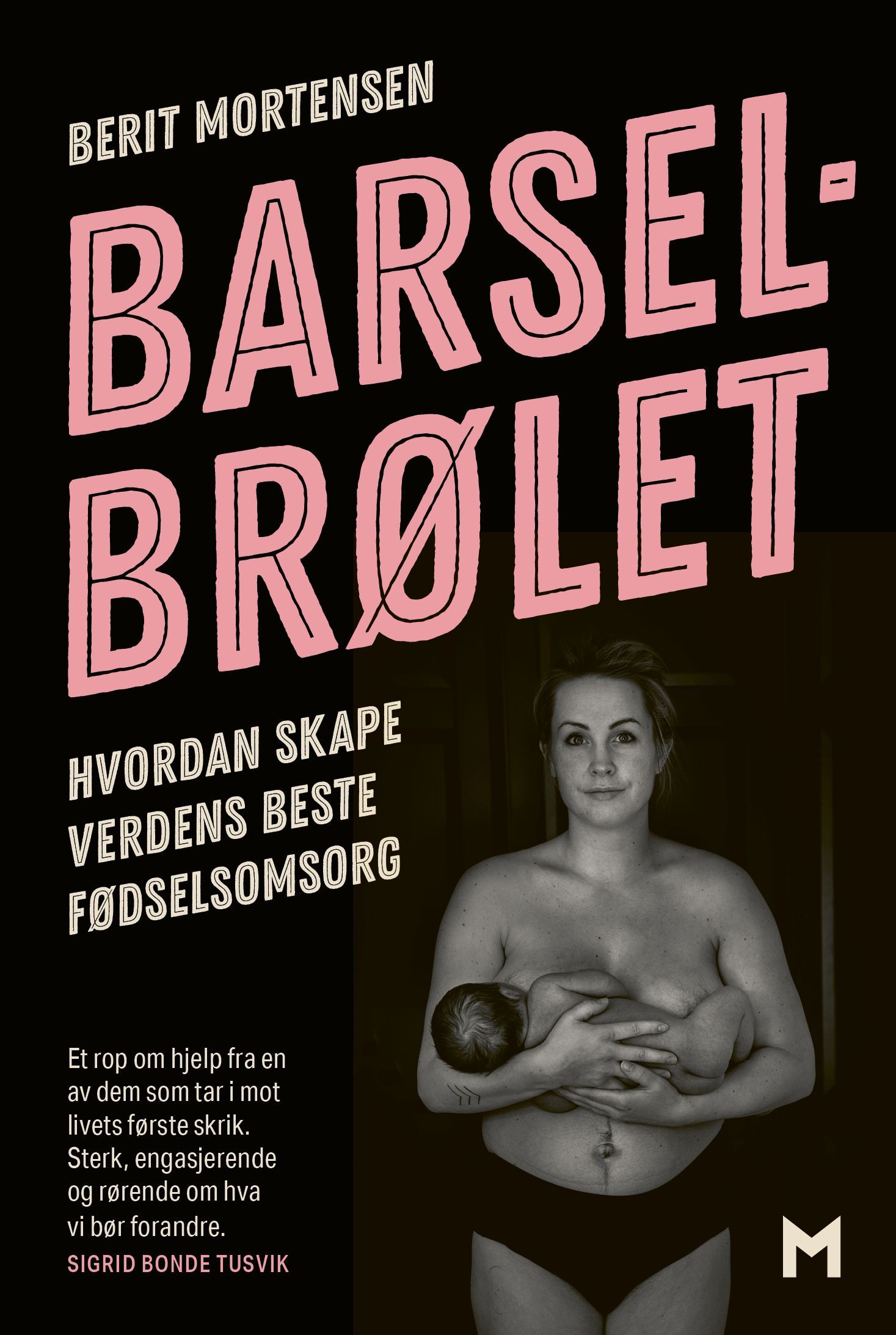 Barselbrølet : hvordan skape verdens beste fødselsomsorg