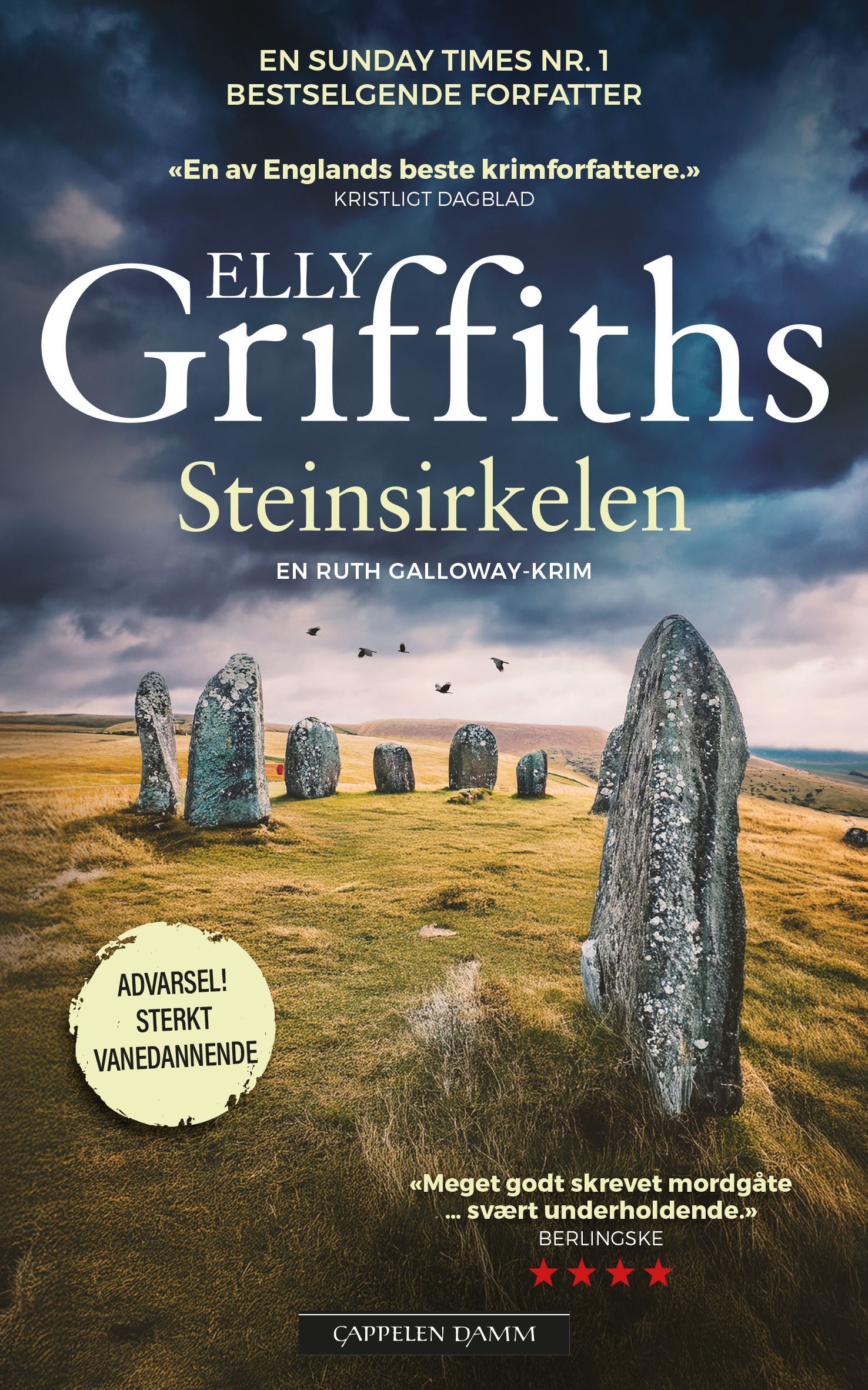 Forsidebilde av Steinsirkelen