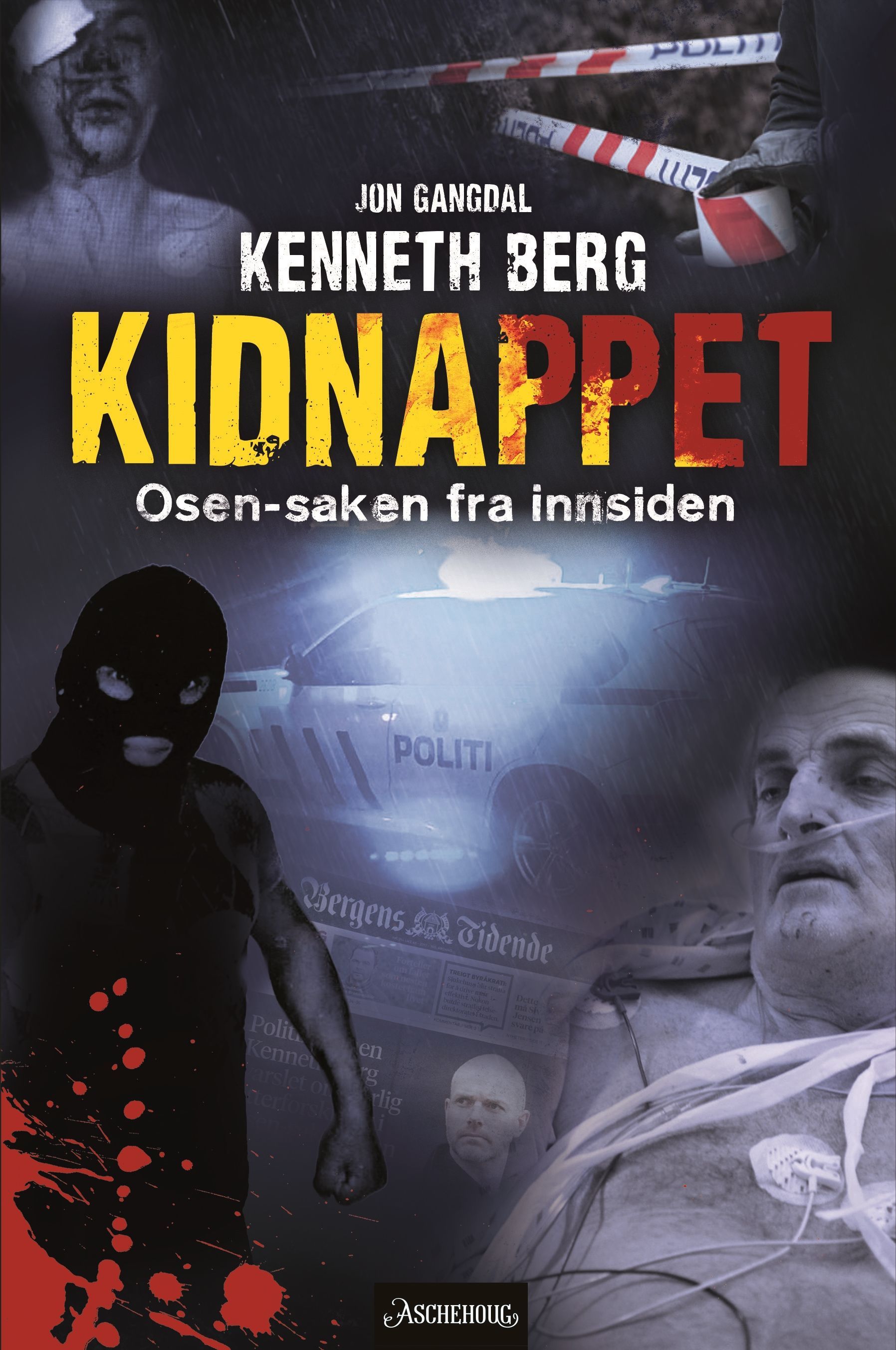 Kidnappet : Osen-saken fra innsiden