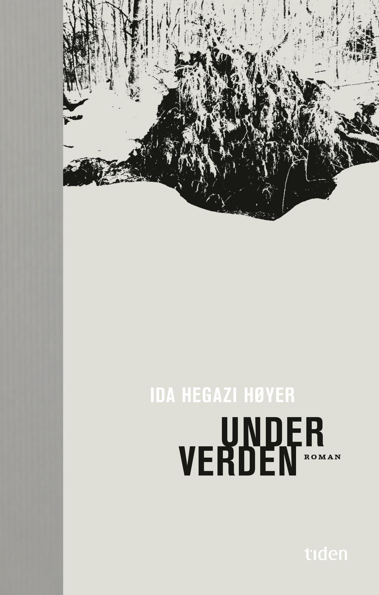 Under verden : roman