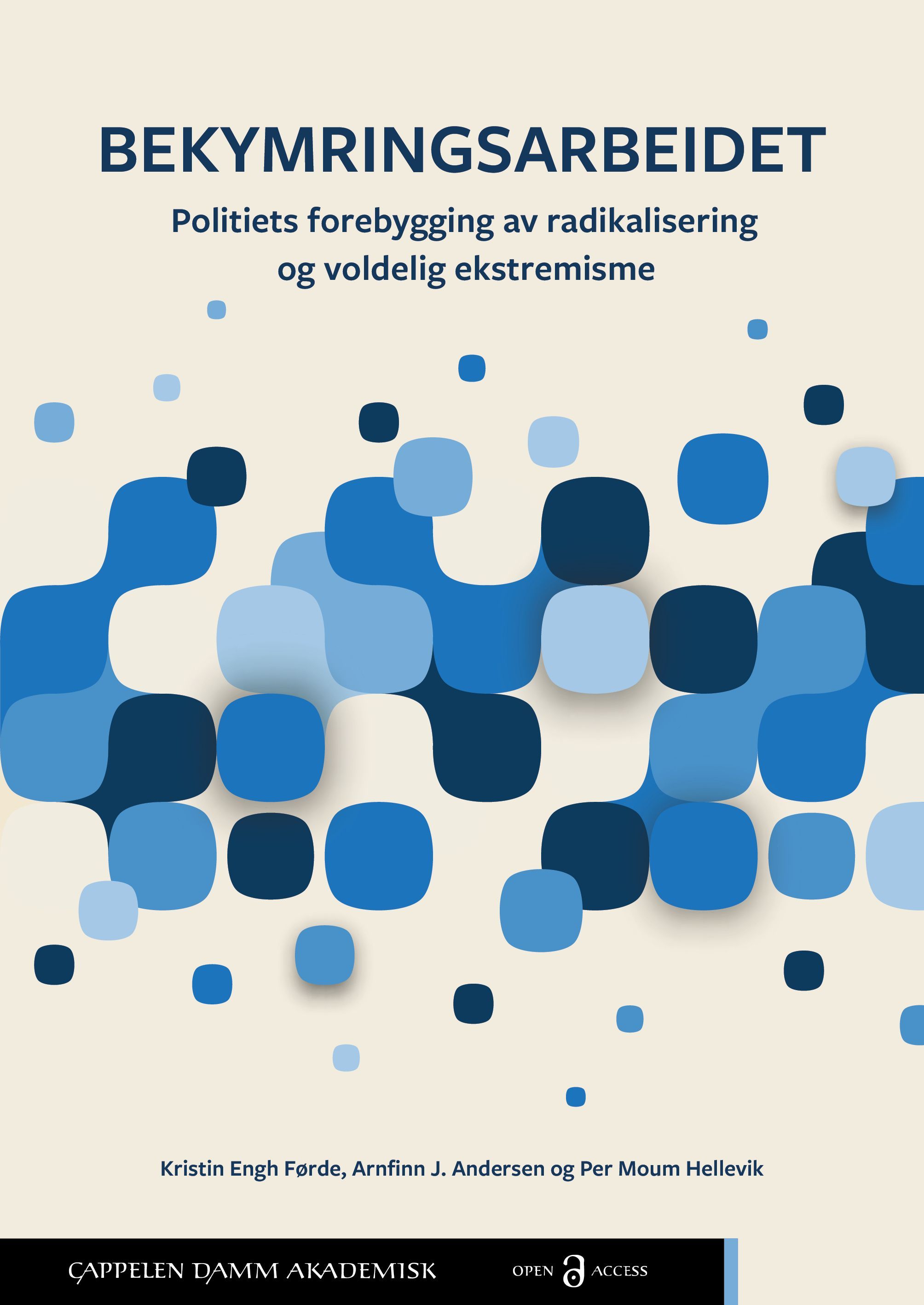 Forsidebilde av Bekymringsarbeidet : politiets forebygging av radikalisering og voldelig ekstremisme