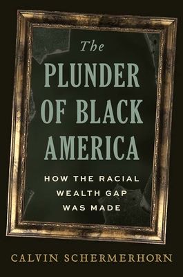 The Plunder of Black America : How the Racial Wealth Gap Was Made