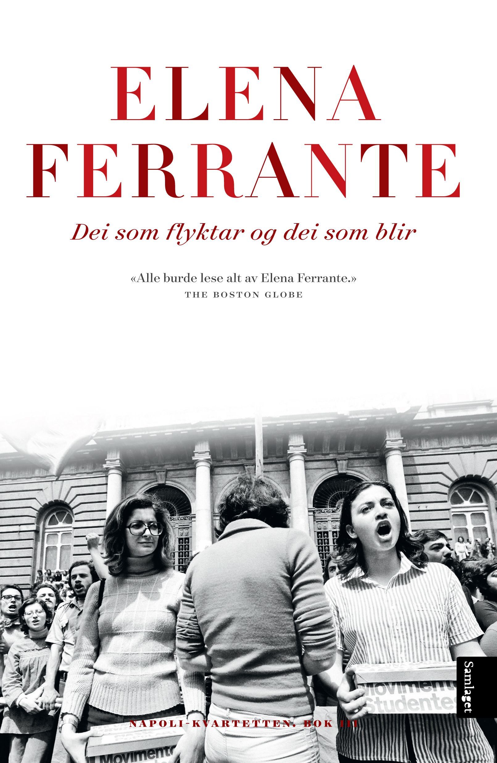 Historia om dei som flyktar og dei som blir : mellomår : roman