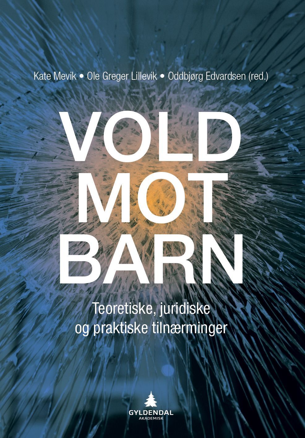 Vold mot barn : teoretiske, juridiske og praktiske tilnærminger