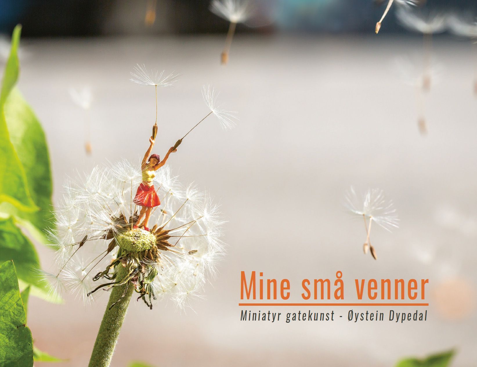 Mine små venner : miniatyr gatekunst