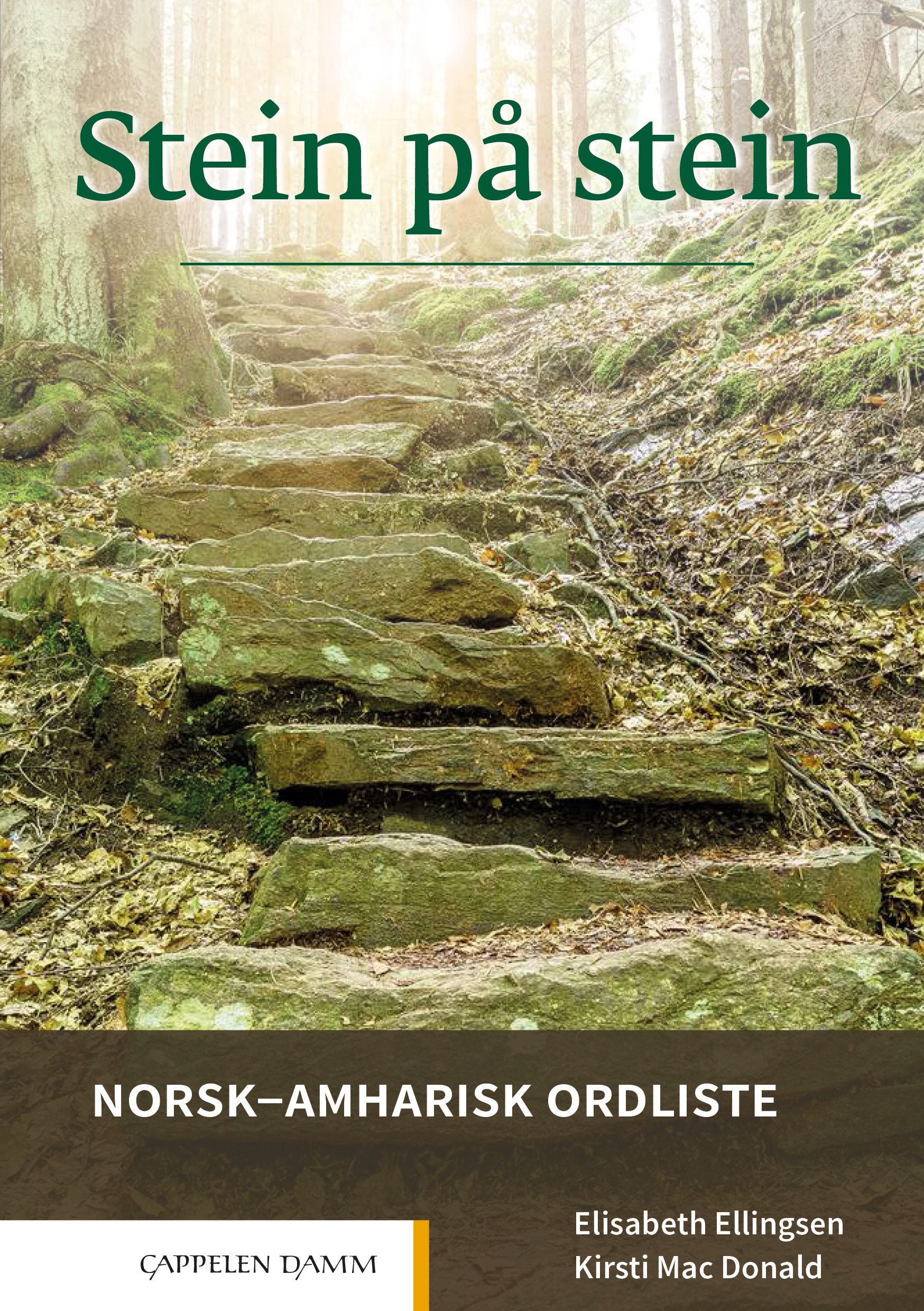 Stein på stein : norsk-amharisk ordliste