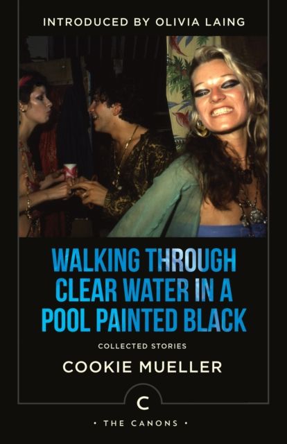 Walking through clear water in a pool painted black : collected stories