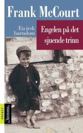 Engelen på det sjuende trinn : en irsk barndom