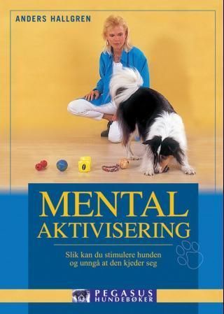 Mental aktivisering : slik kan du stimulere hunden og unngå at den kjeder seg