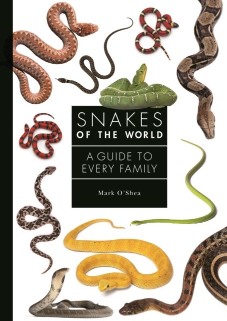 Snakes of the World : A Guide to Every Family