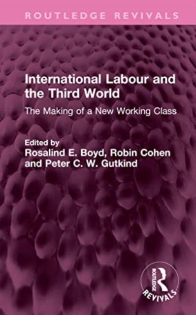 International Labour and the Third World : The Making of a New Working Class