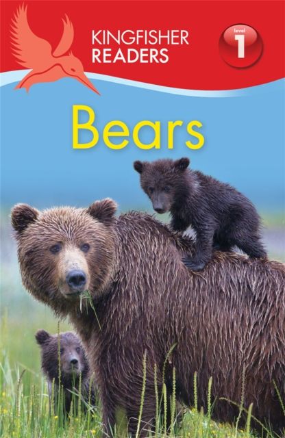 Bears
