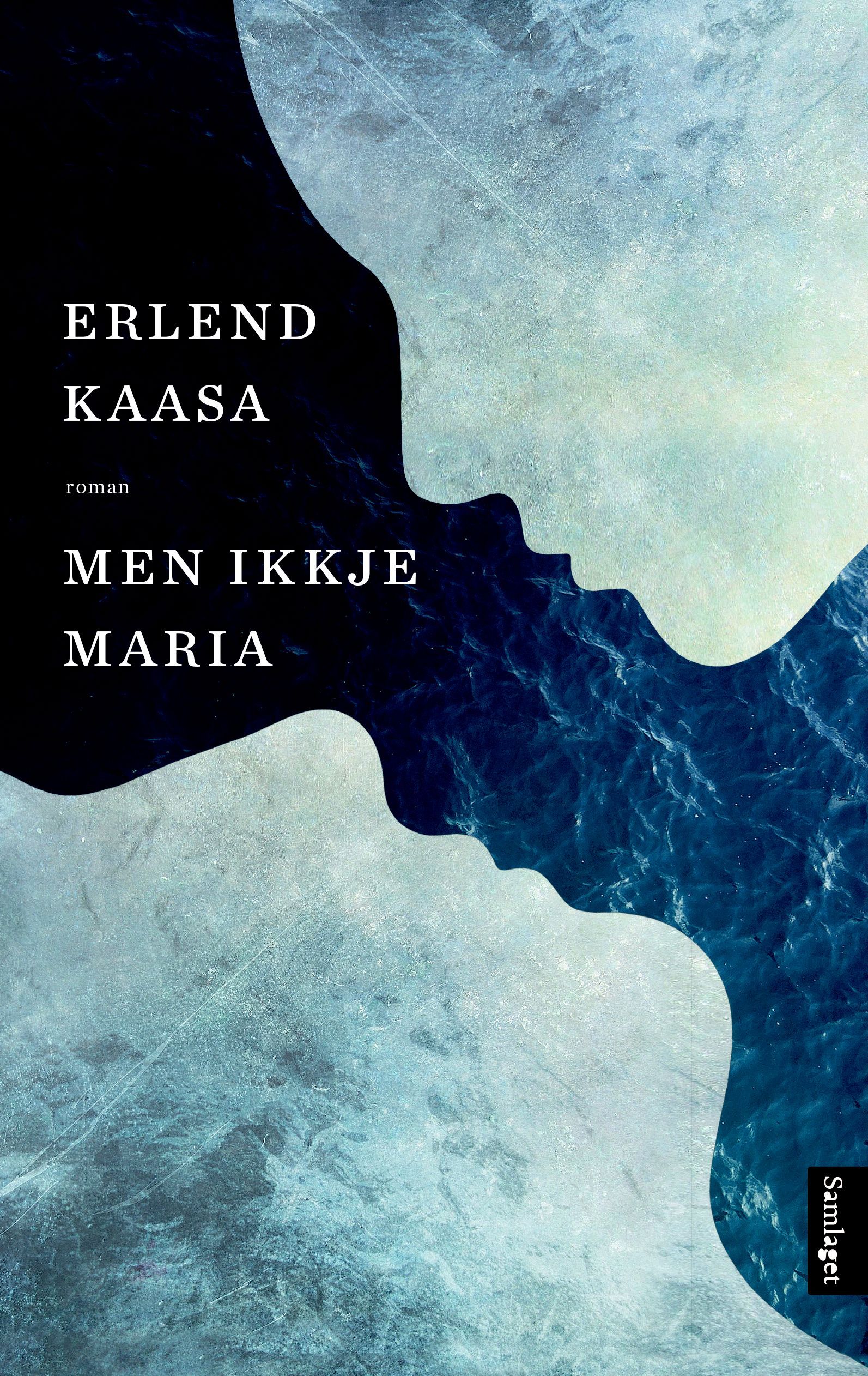 Men ikkje Maria : roman