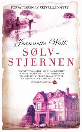 Sølvstjernen : en roman