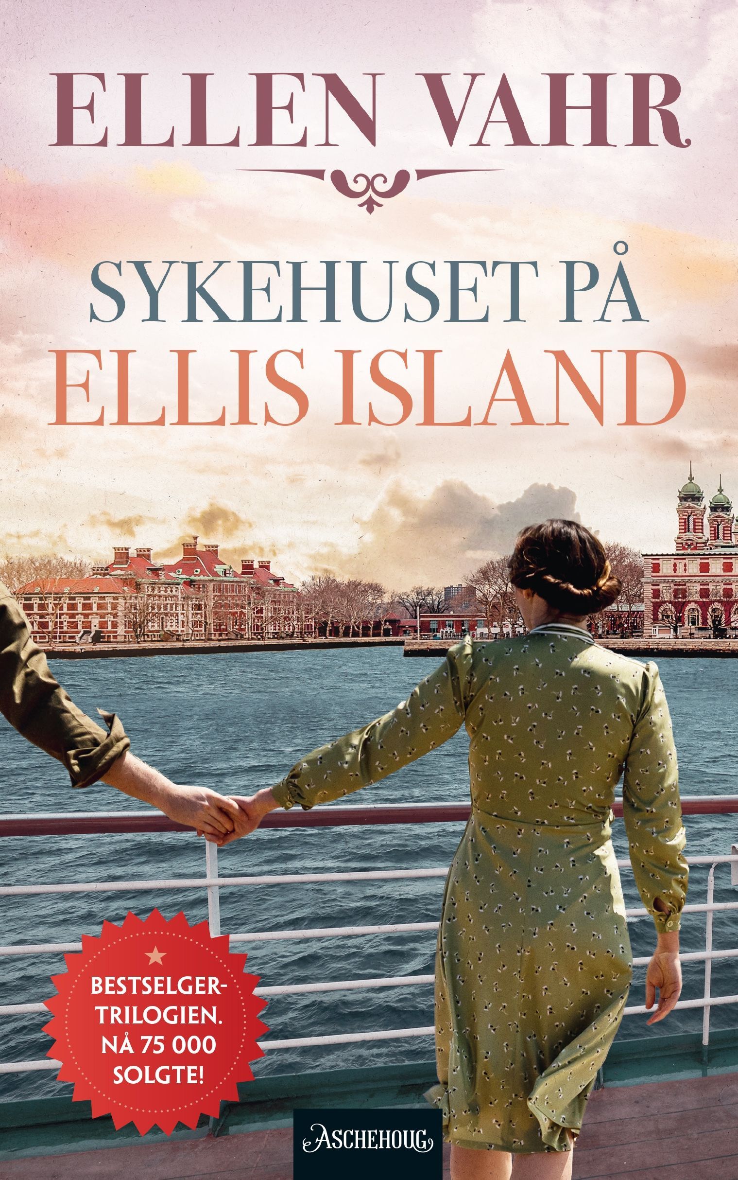 Sykehuset på Ellis Island : roman