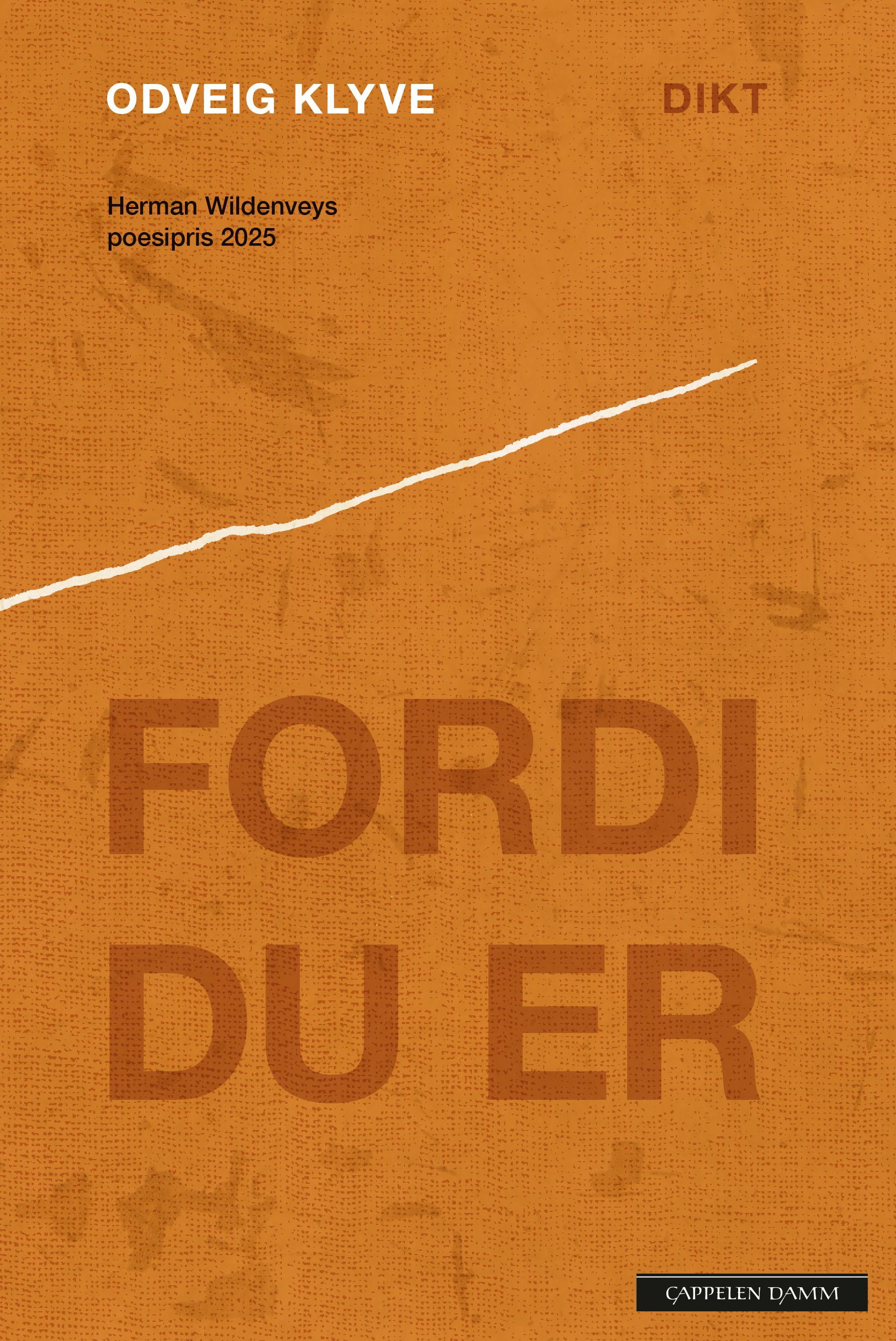 Fordi du er : dikt