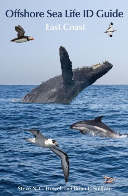 Offshore Sea Life ID Guide : East Coast