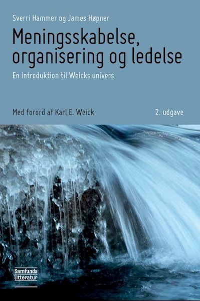 Meningsskabelse, organisering og ledelse