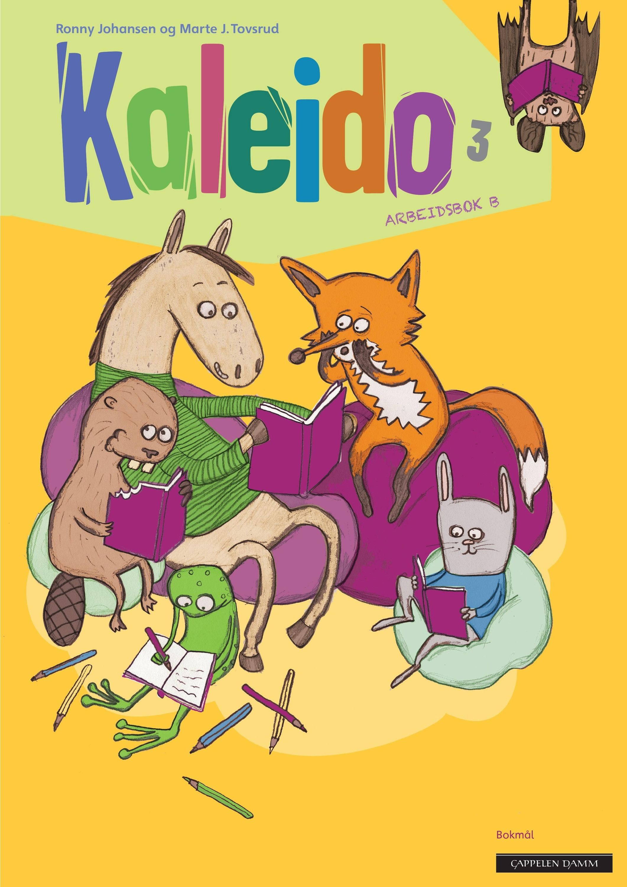 Kaleido 3 : arbeidsbok B