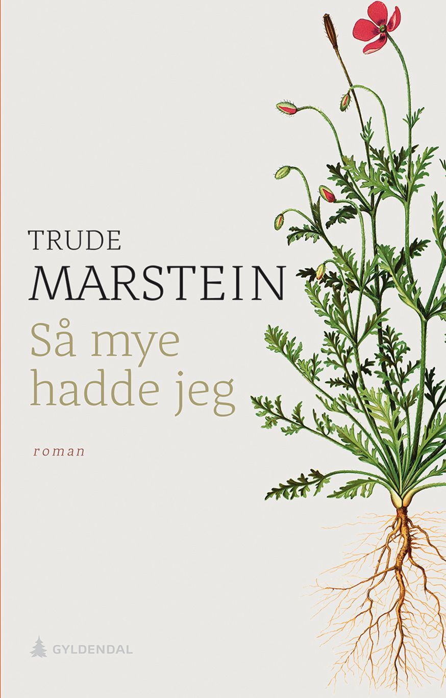Så mye hadde jeg : roman