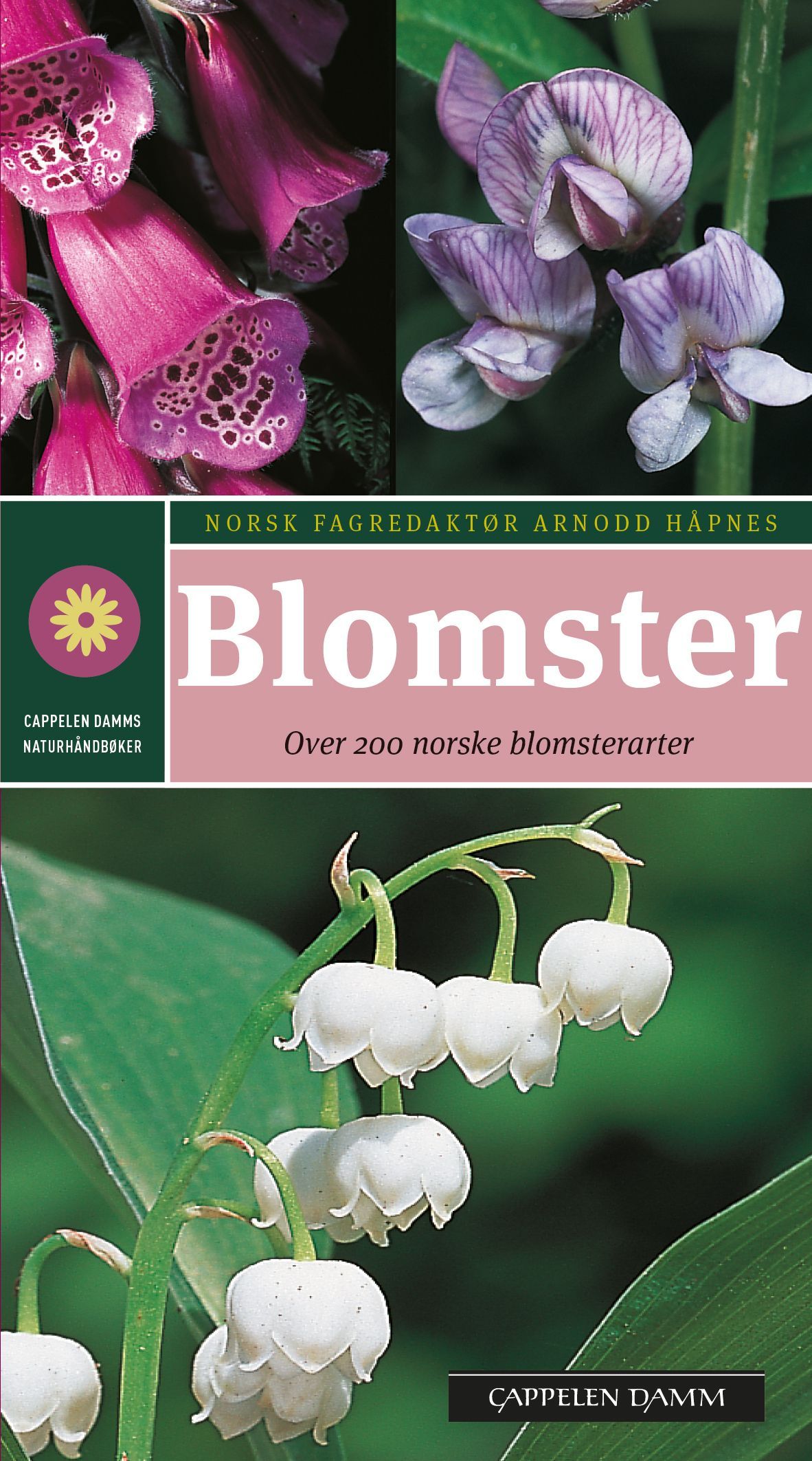 Blomster : enkel og sikker artsbestemmelse