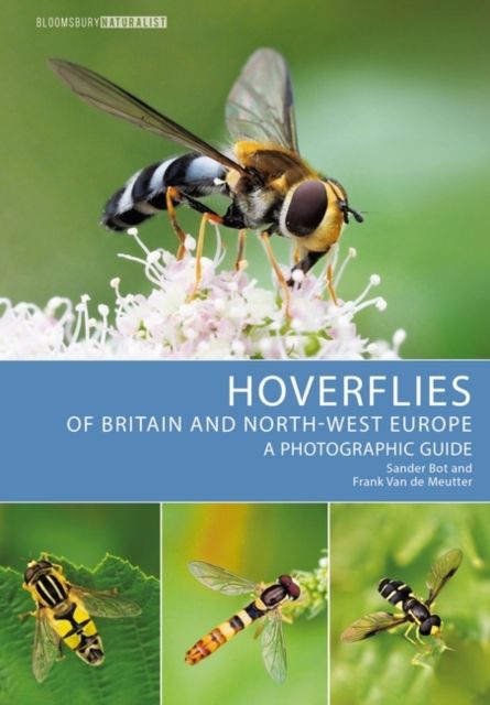 Hoverflies of Britain and North-west Europe : A photographic guide