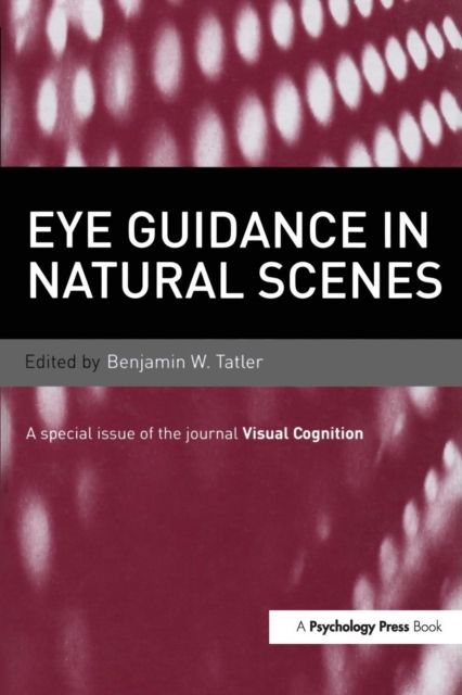 Eye Guidance in Natural Scenes : A Special Issue of Visual Cognition