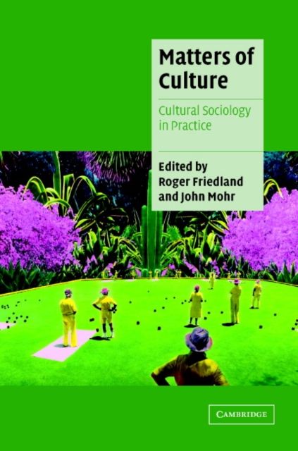 Matters of Culture : Cultural Sociology in Practice