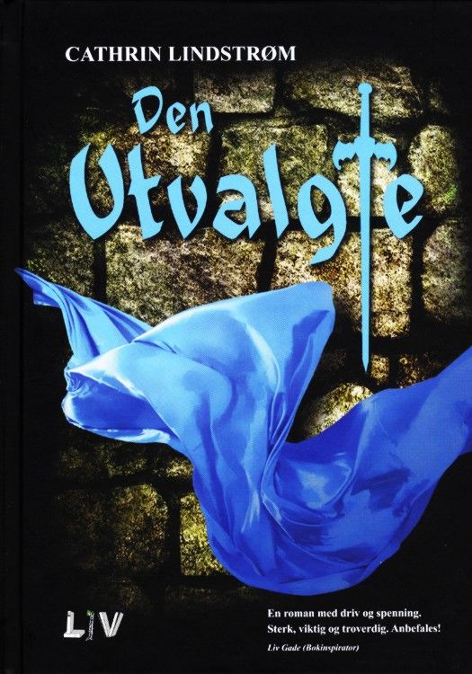 Den utvalgte : roman