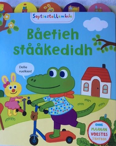 Båetieh stååkedidh