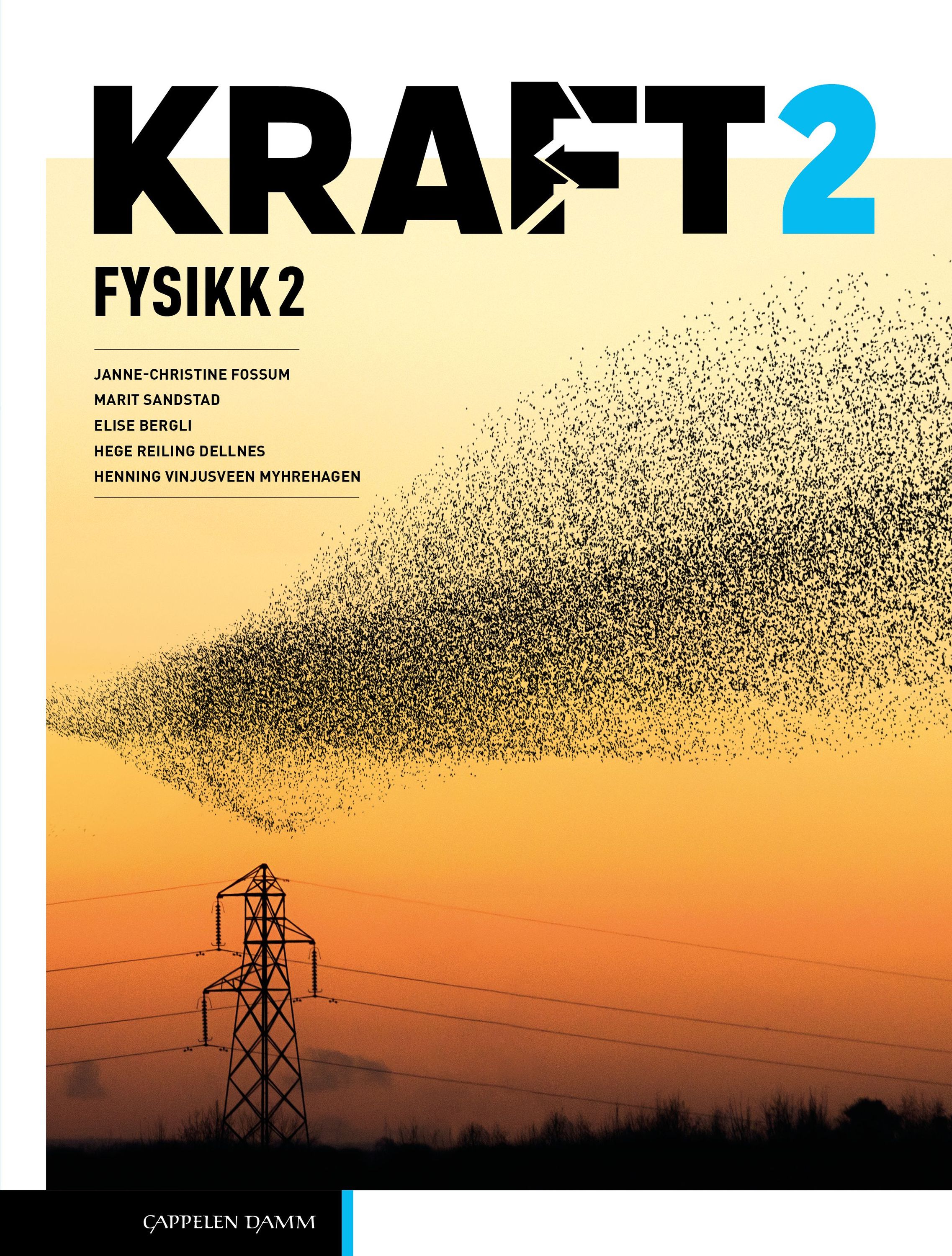 Kraft 2 : lærebok i fysikk 2 : studieførebuande utdanningsprogram