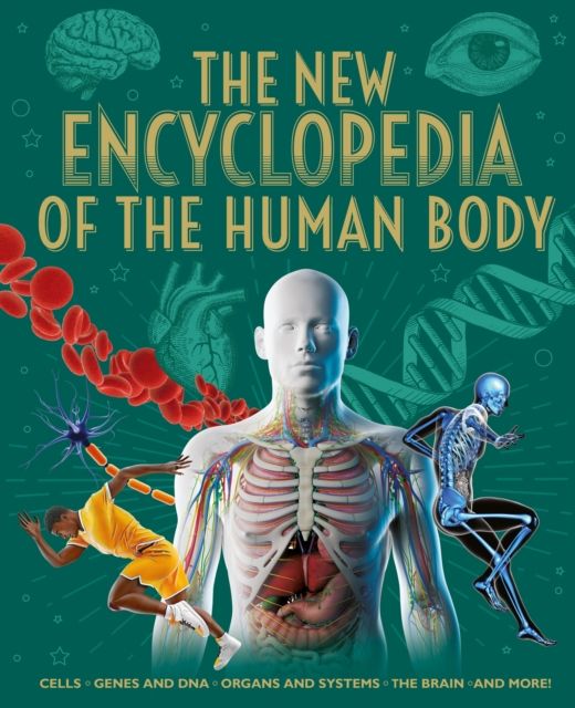 The New Encyclopedia of the Human Body : Cells, Genes and DNA, Organs and Systems, the Brain, and More!