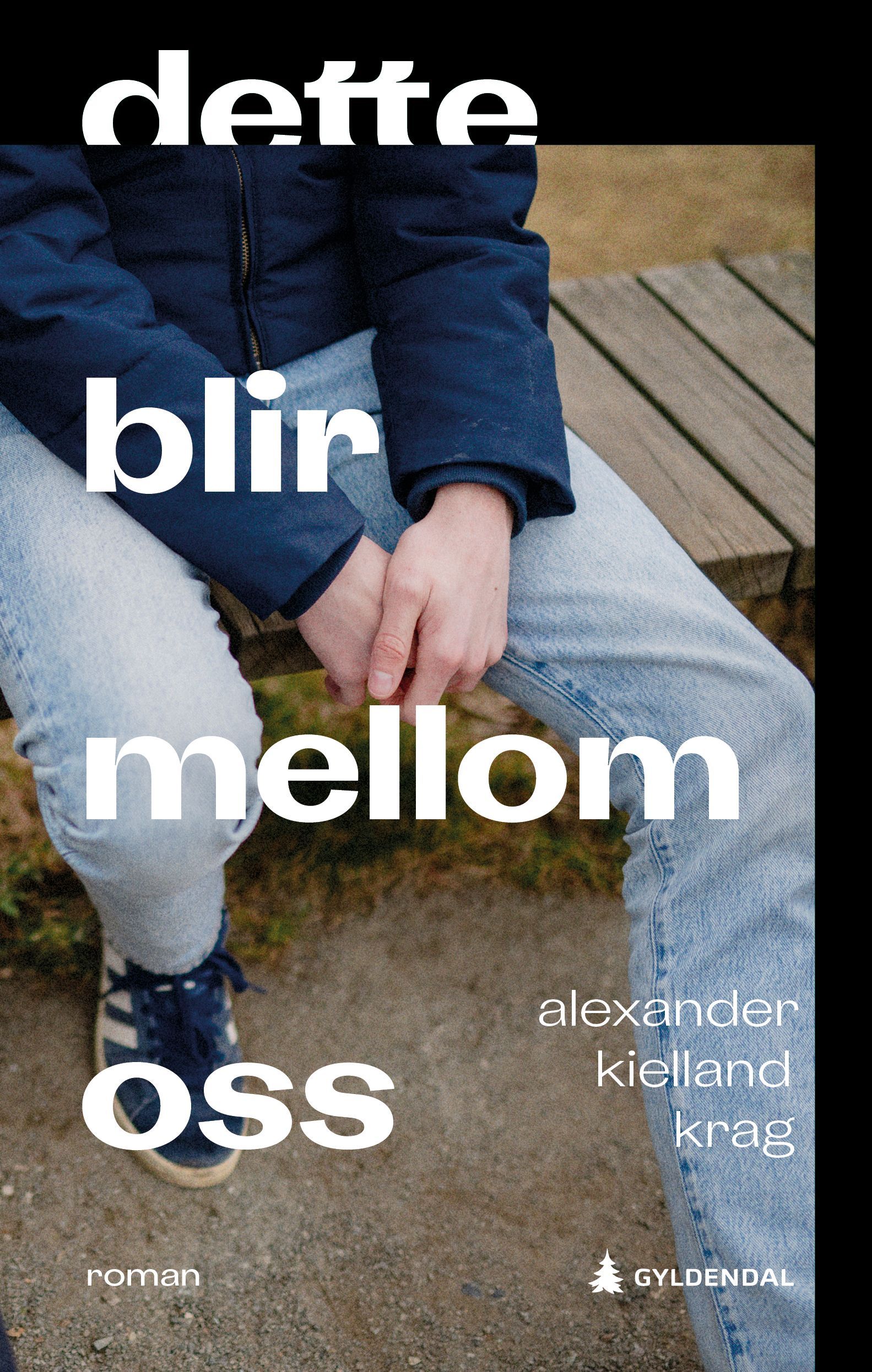 Dette blir mellom oss : roman