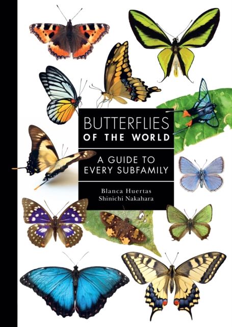 Butterflies of the World : A Guide to Every Subfamily
