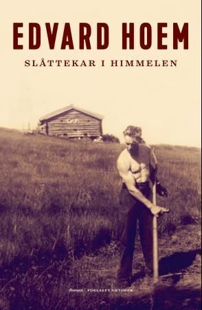 Slåttekar i himmelen : roman