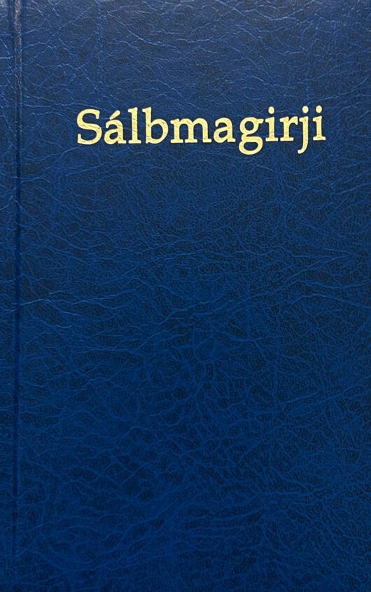 Sálbmagirji : ipmilii gudnin ja Sámi searvegottiide bajásrahkadussan