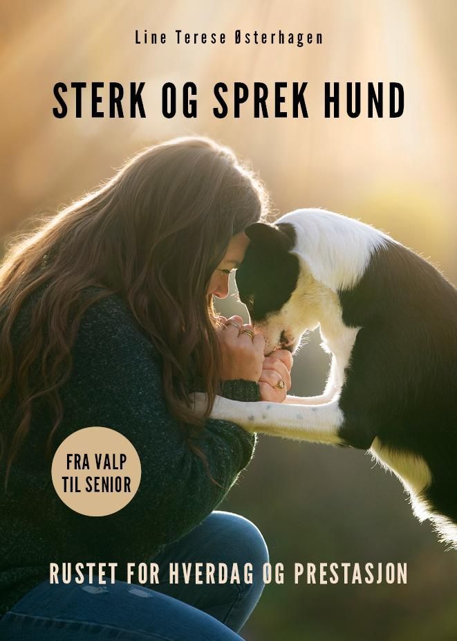 Sterk og sprek hund : rustet for hverdag og prestasjon