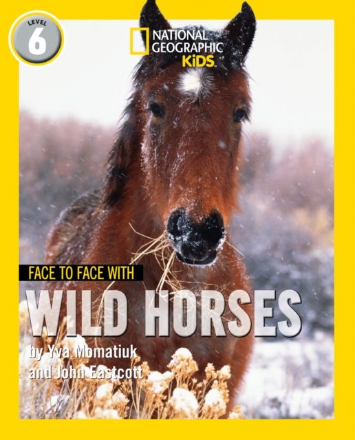 Face to Face with Wild Horses : Level 6