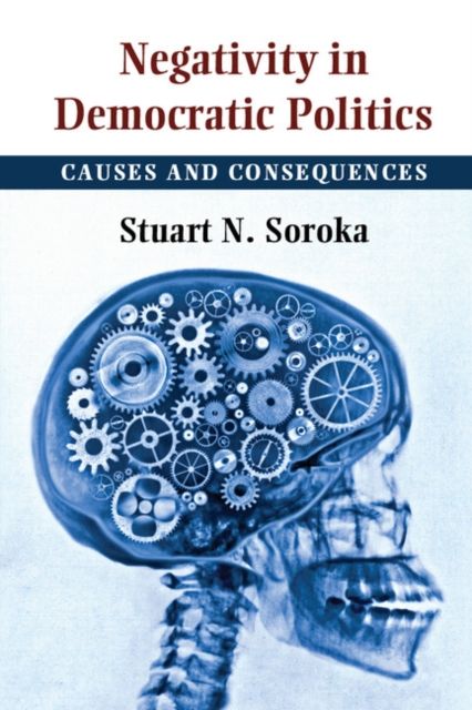 Negativity in Democratic Politics : Causes and Consequences