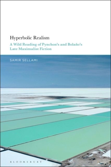 Hyperbolic Realism : A Wild Reading of Pynchon's and Bolano's Late Maximalist Fiction
