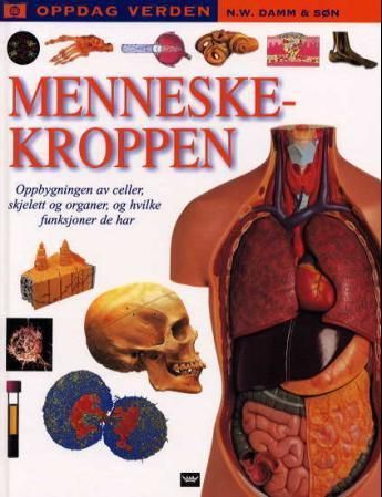 Menneskekroppen