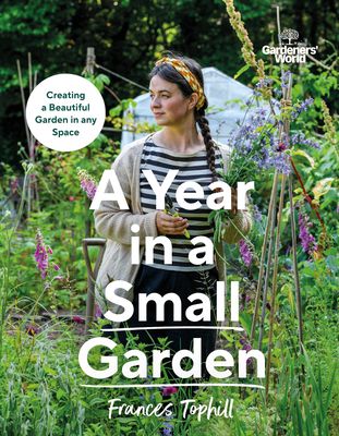 Forsidebilde av A year in a small garden