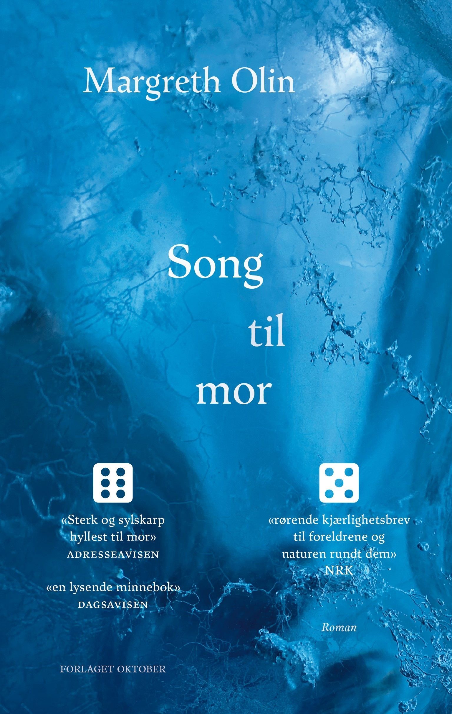 Song til mor : roman