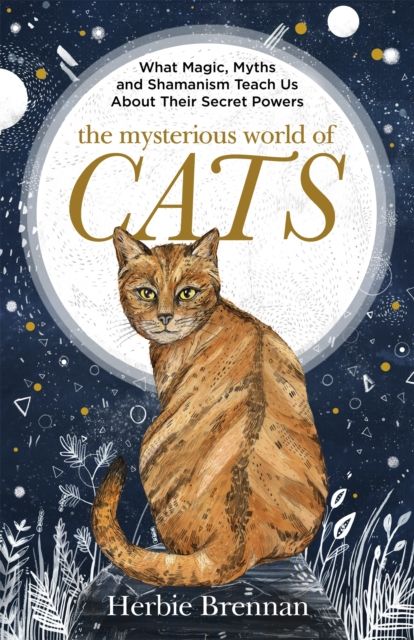 The Mysterious World of Cats : The ultimate gift book for people who are bonkers about their cat