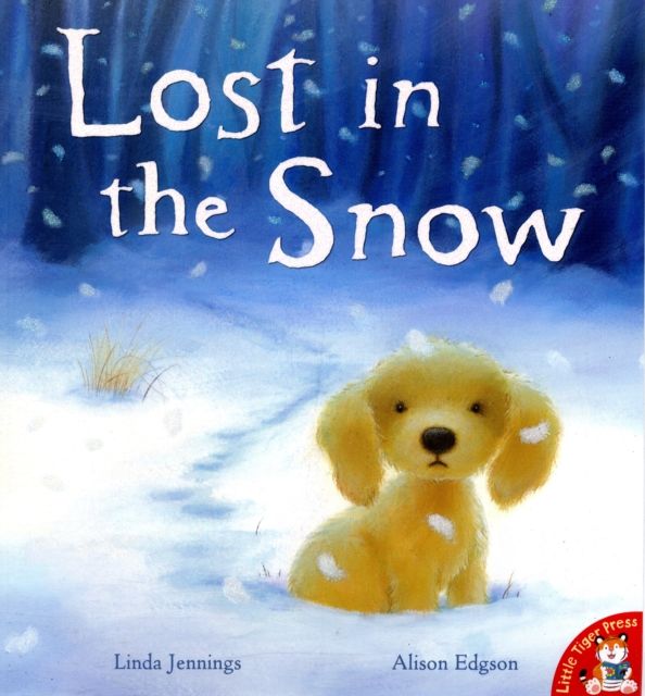 Lost in the Snow