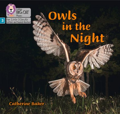 Owls in the Night : Phase 3 Set 2