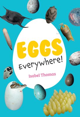Eggs Everywhere! : Fluency 6
