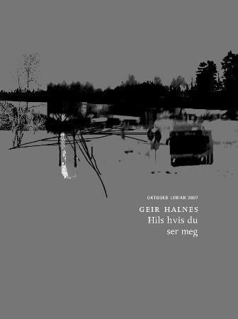Hils hvis du ser meg : dikt